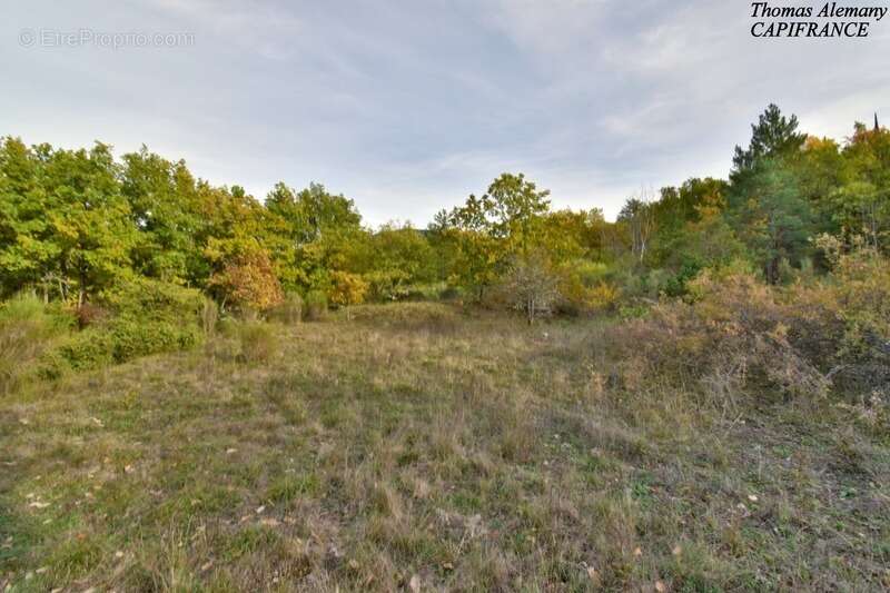 Terrain à ESTOUBLON