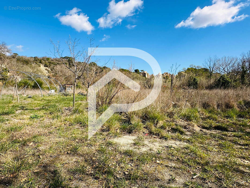 Terrain à ILLE-SUR-TET