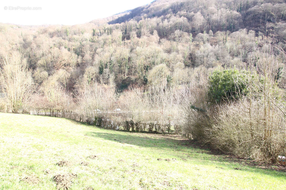 Terrain à GURAN