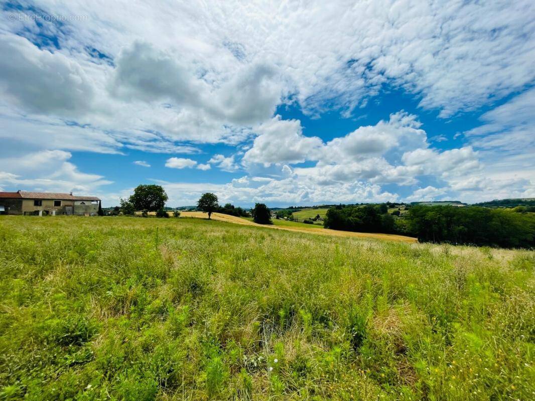 Terrain à MONTCHENU