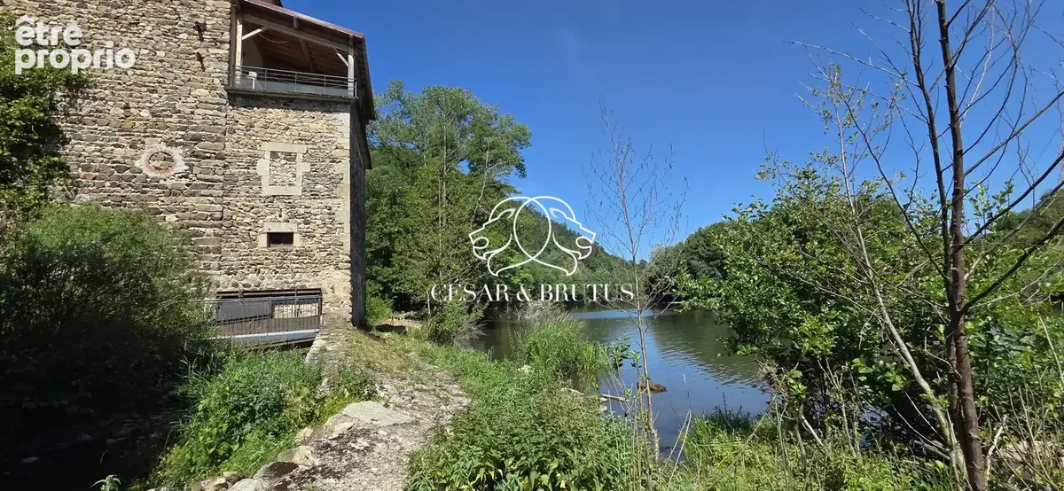 Maison 11 pièces 343 m² à vendre à Saint-Vincent (43800) - photo 7