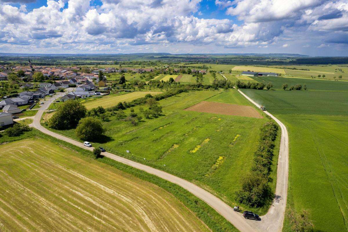 Terrain à HARAUCOURT