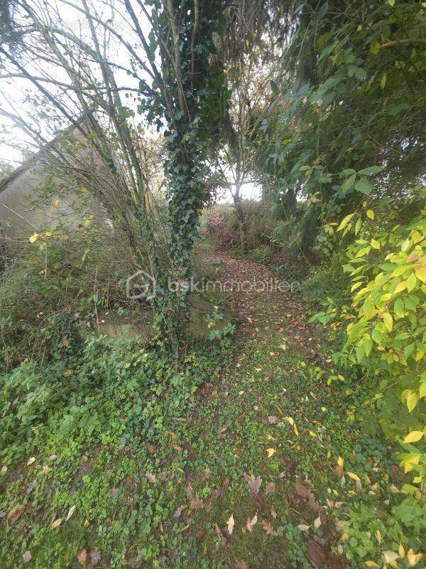 Longère de 210 m² à Courtemaux (45320) - photo 24