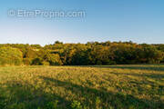 Terrain à ALAIRAC