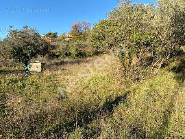 Terrain à DRAGUIGNAN