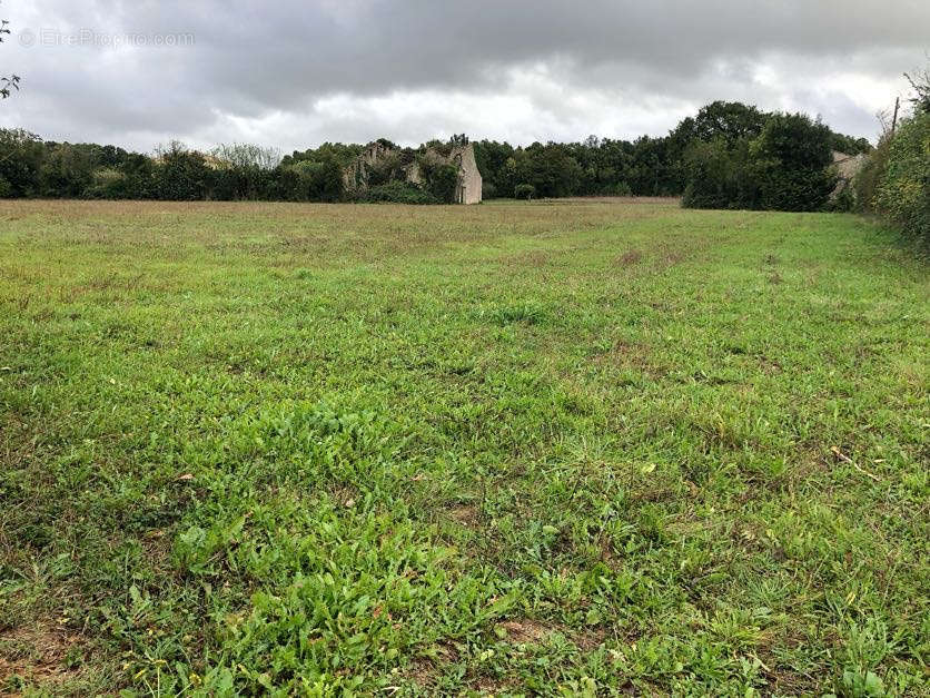 Terrain à LA FOYE-MONJAULT