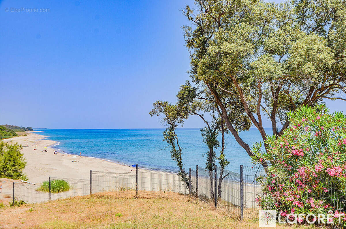 Appartement à LINGUIZZETTA