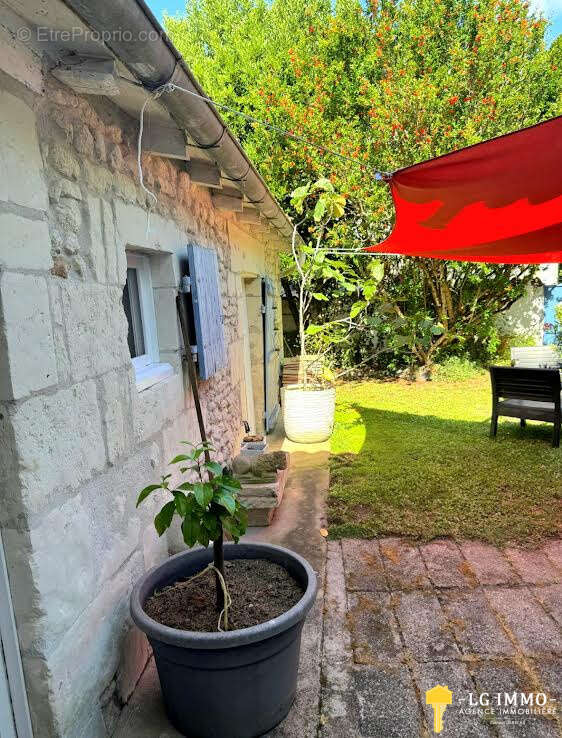 Maison atypique centre bourg avec jardin - photo 14