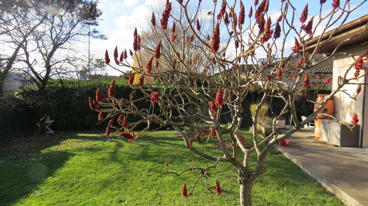 Maison à THONON-LES-BAINS