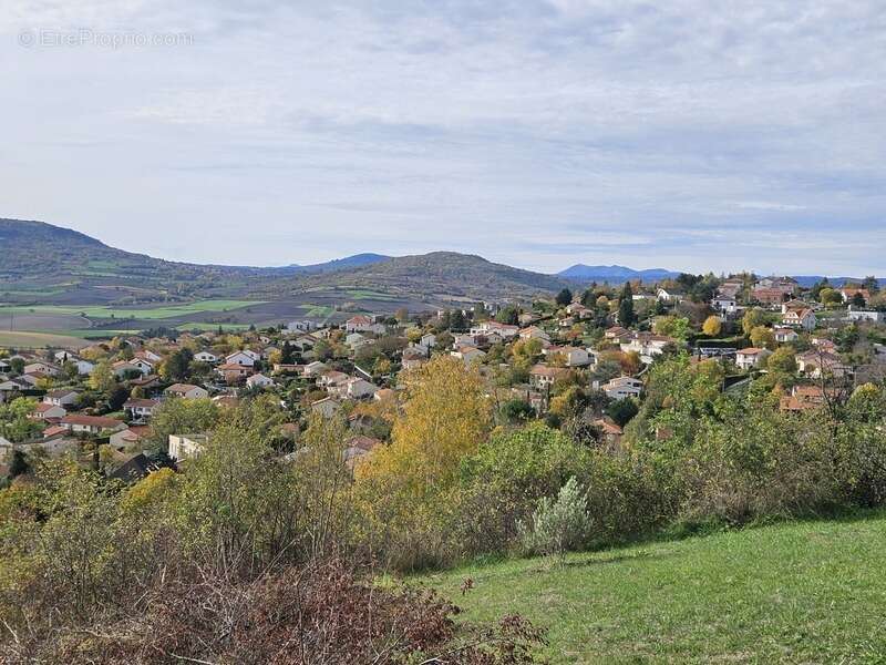 Terrain à VEYRE-MONTON