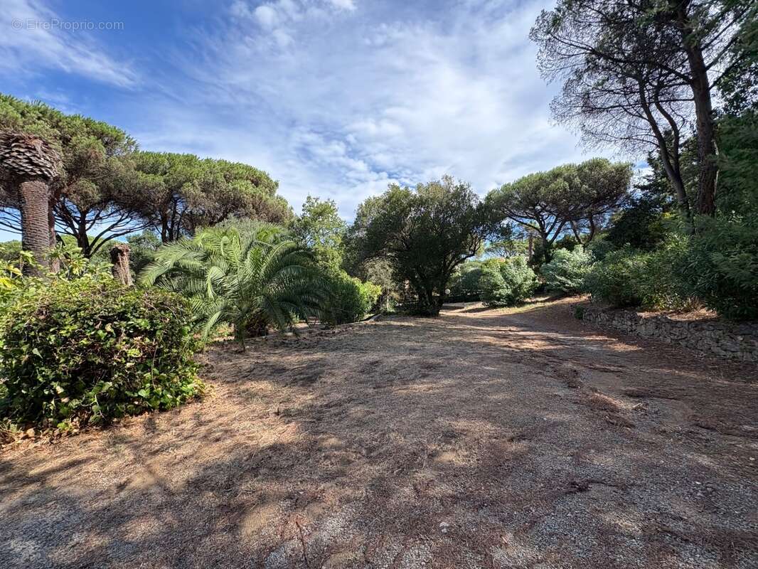 Propriété d’exception avec deux villas et piscine – Sainte-Maxime, secteur Sémaphore - photo 5