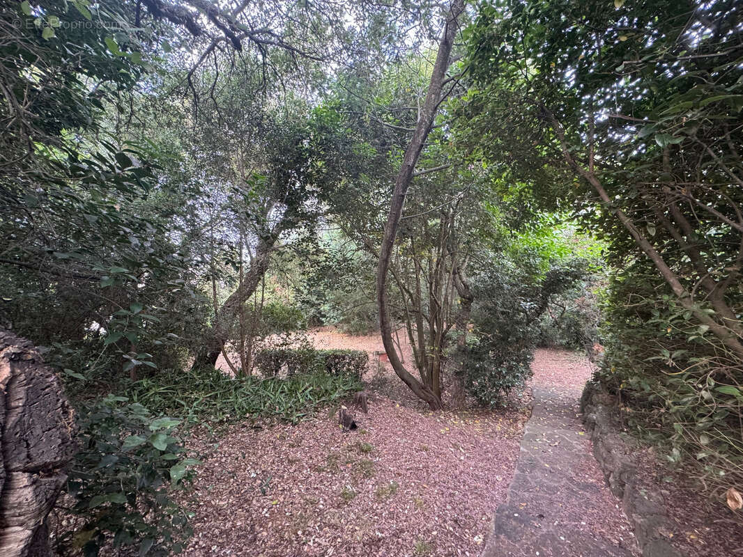 Maison à SAINT-RAPHAEL