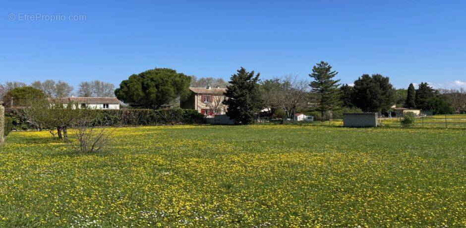 Terrain à PERNES-LES-FONTAINES