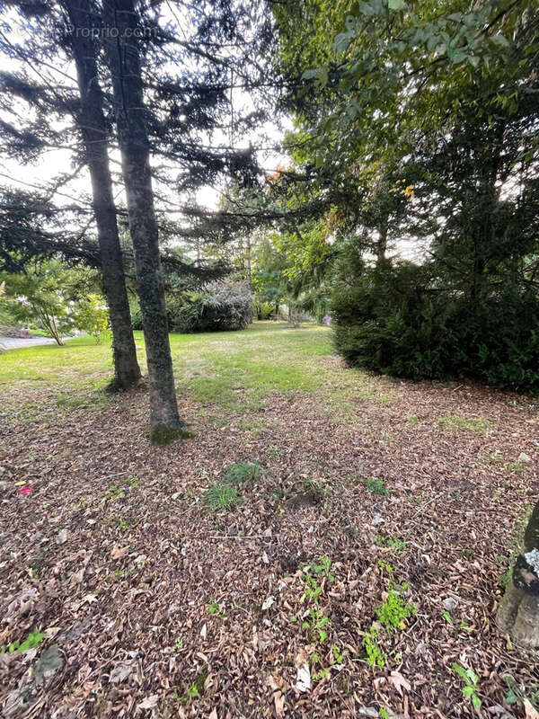 Terrain à SAINTE-MARIE