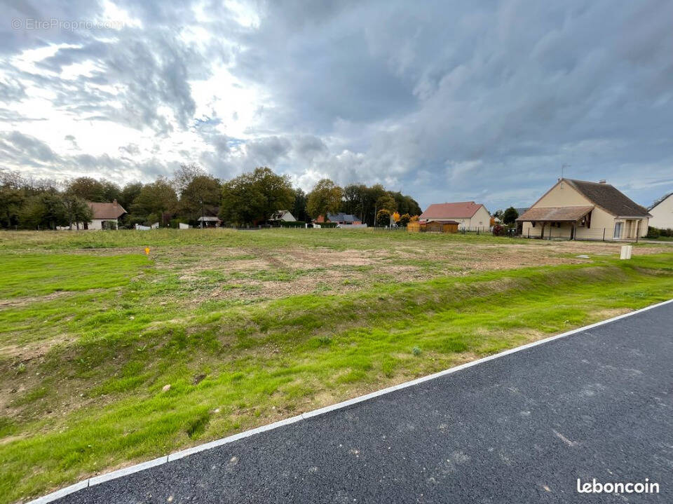 Terrain à FORET-LA-FOLIE