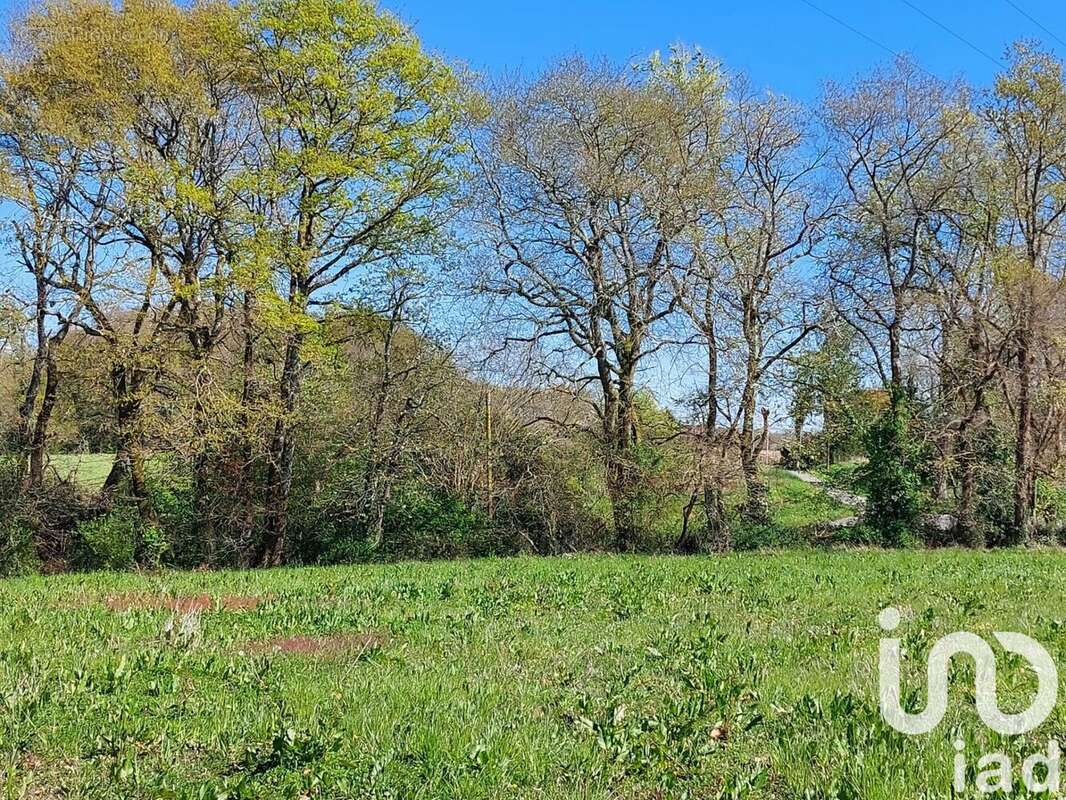 Photo 4 - Terrain à SAULT-DE-NAVAILLES