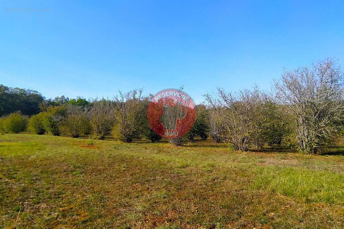 Terrain à AISY-SUR-ARMANCON