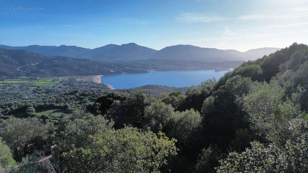Terrain à OLMETO