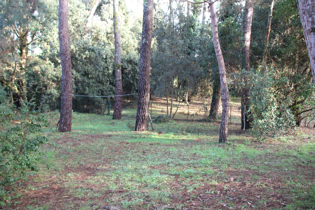 Maison à SAINT-GEORGES-DE-DIDONNE