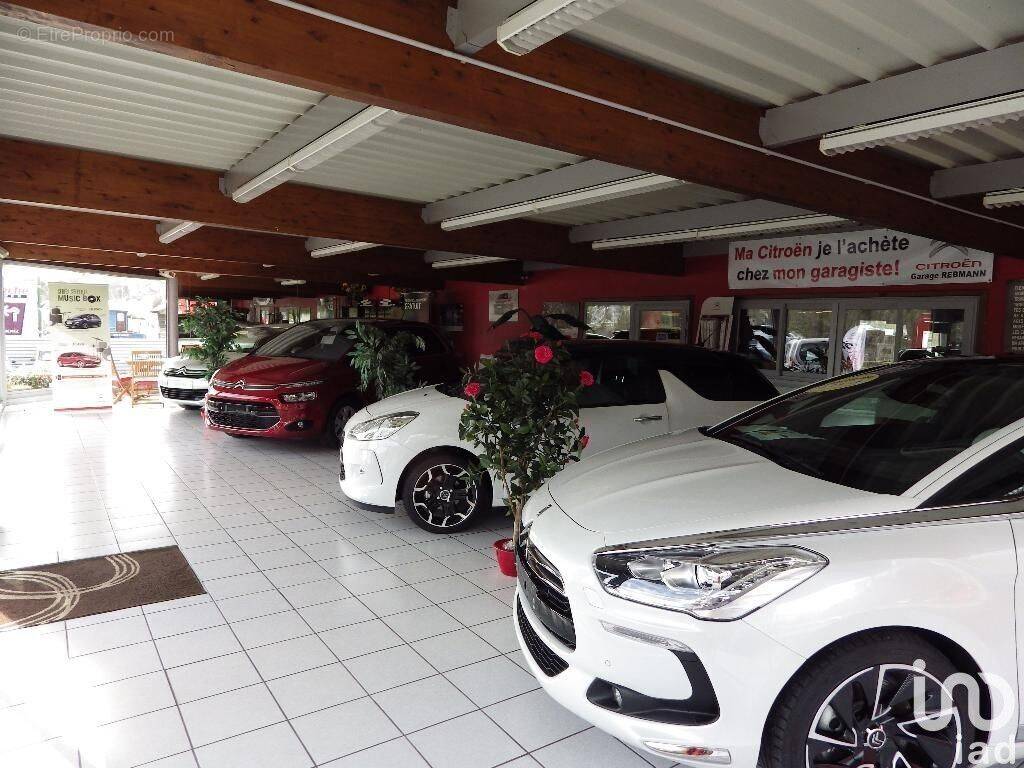 Photo 1 - Commerce à DOUARNENEZ