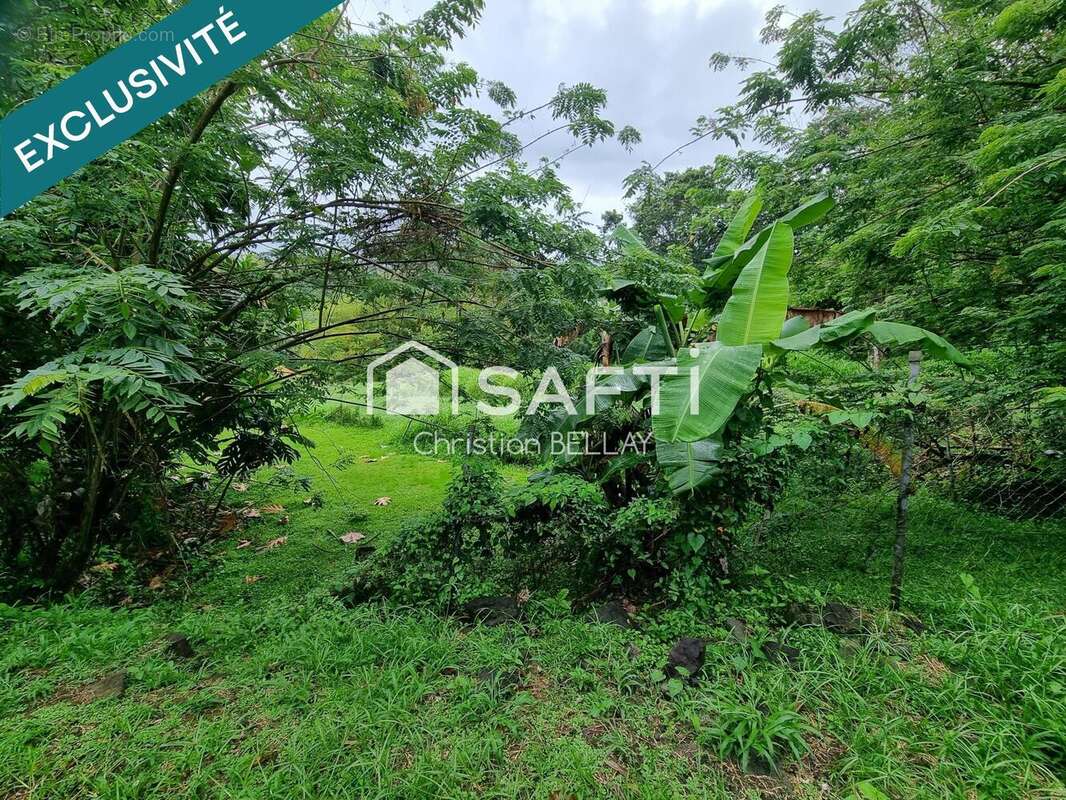 Photo 7 - Terrain à LE LAMENTIN