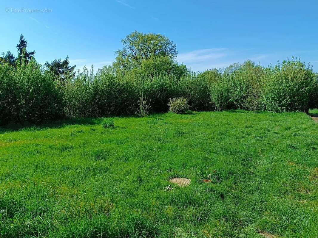 Maison de campagne proche de la vallée de la Lizonne - photo 2