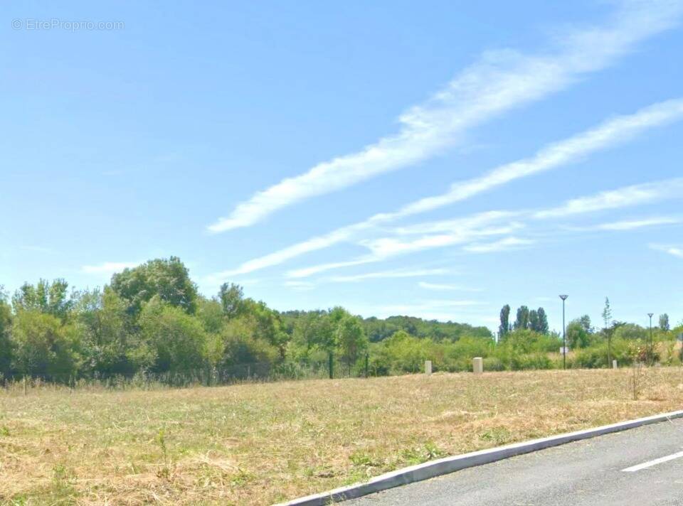 Terrain à MONESTIER
