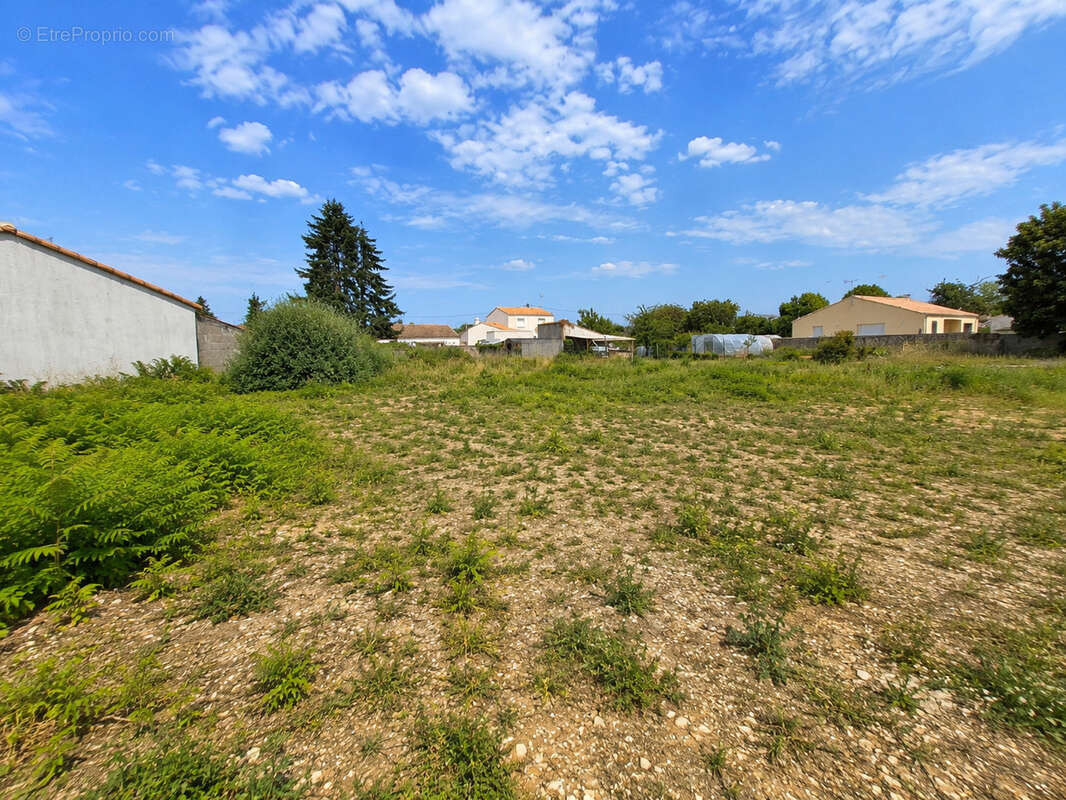 Terrain à SAINTE-GEMME-LA-PLAINE
