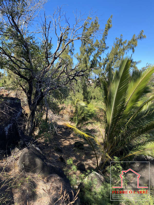 Terrain à SAINT-PIERRE