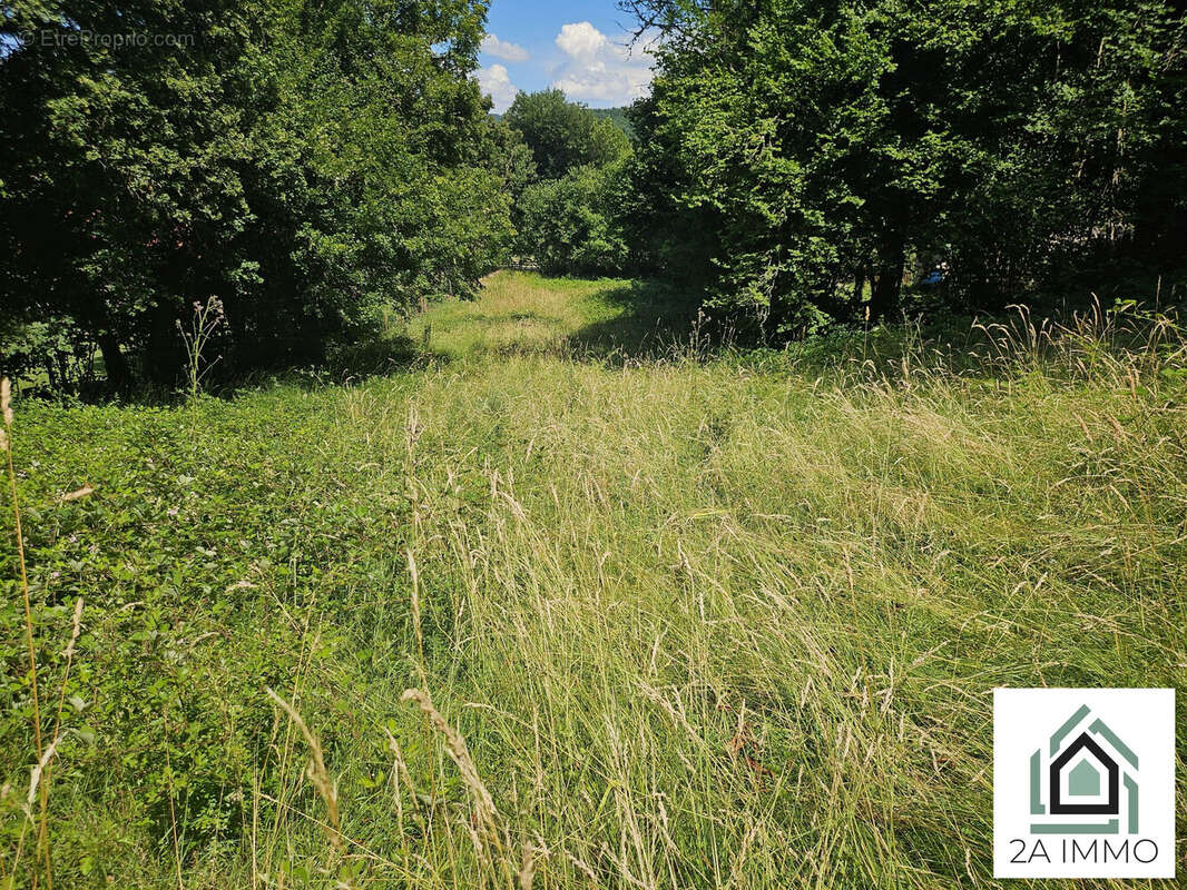 Terrain à BROMONT-LAMOTHE