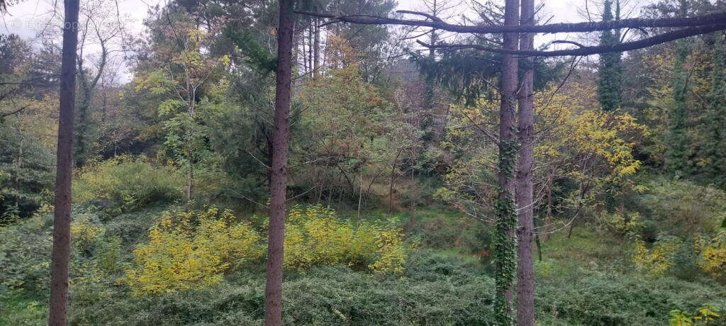 Terrain à LES OLLIERES-SUR-EYRIEUX