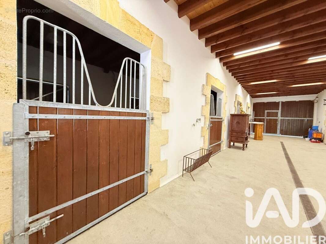 Maison 380 m² à Montpon-Menesterol  - photo 2