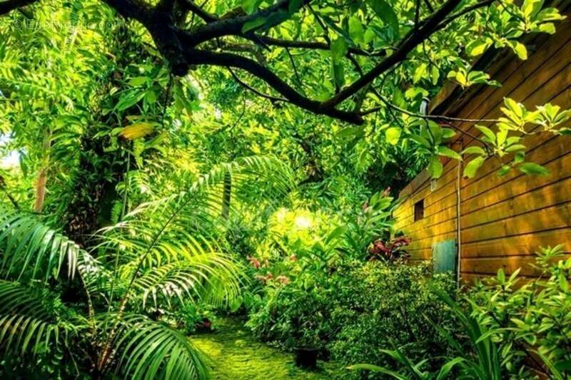 Maison à SAINTE-ROSE