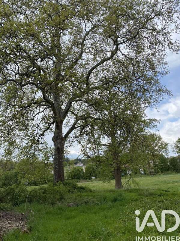 Photo 6 - Maison à LIMOGES