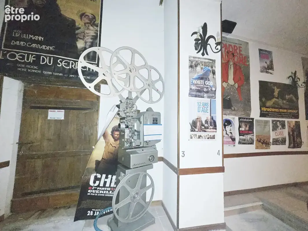 Unique en france : l'ancien plus petit cinéma à vendre - photo 9