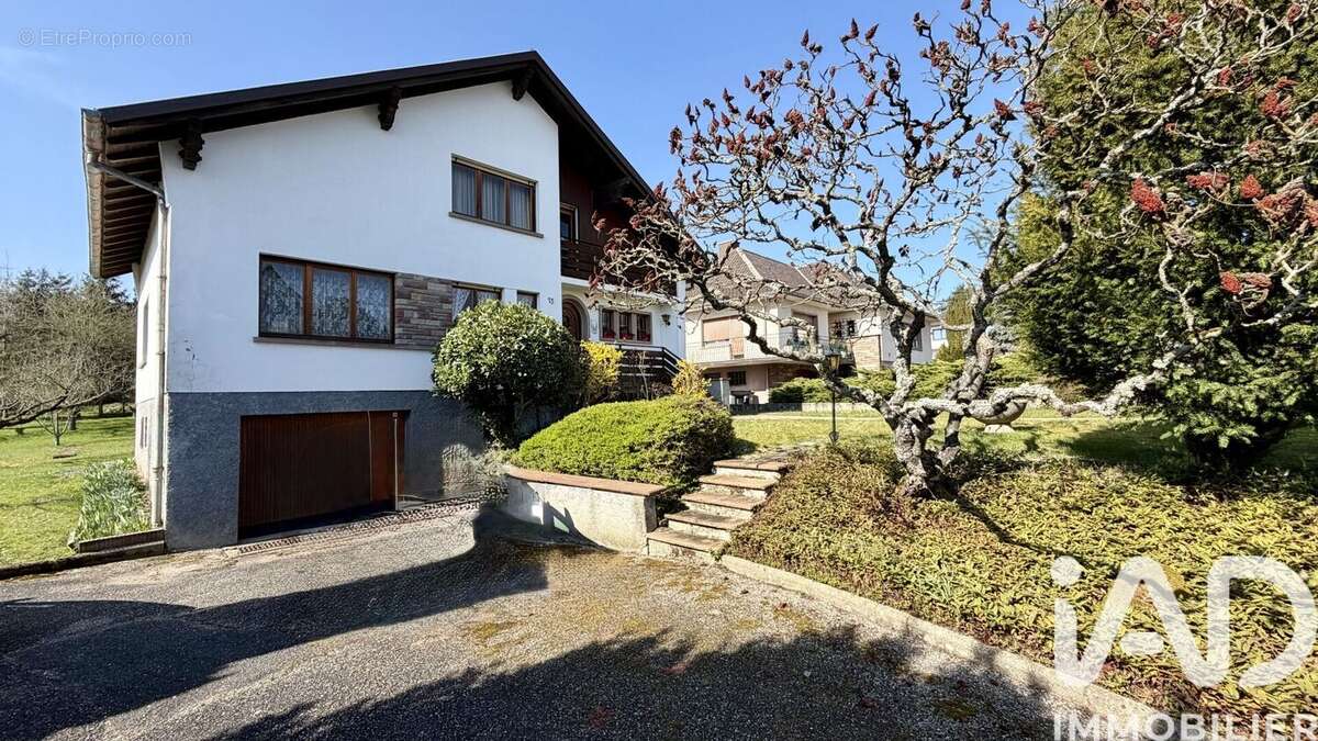 Photo 2 - Maison à SAVERNE