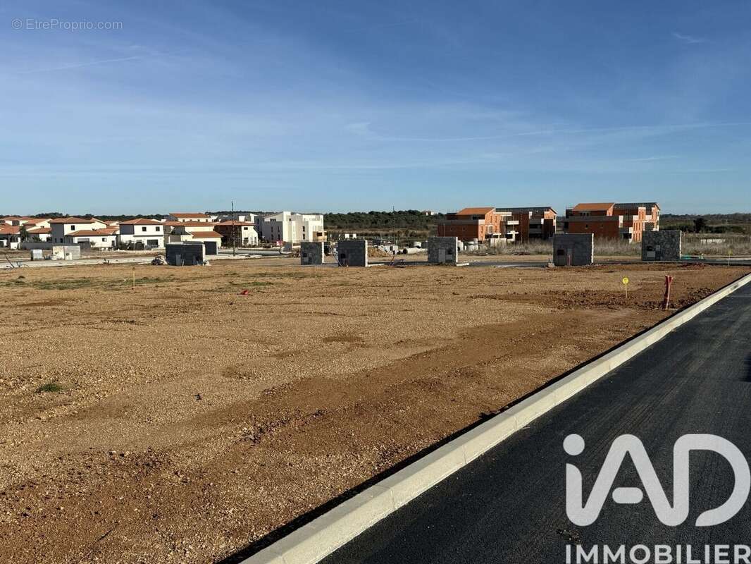 Photo 8 - Terrain à PORTIRAGNES