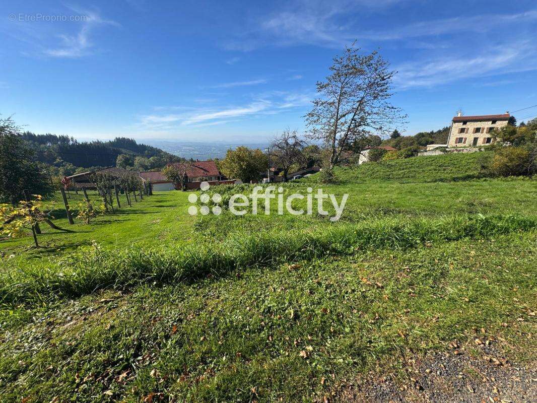 Terrain à ESCOUTOUX