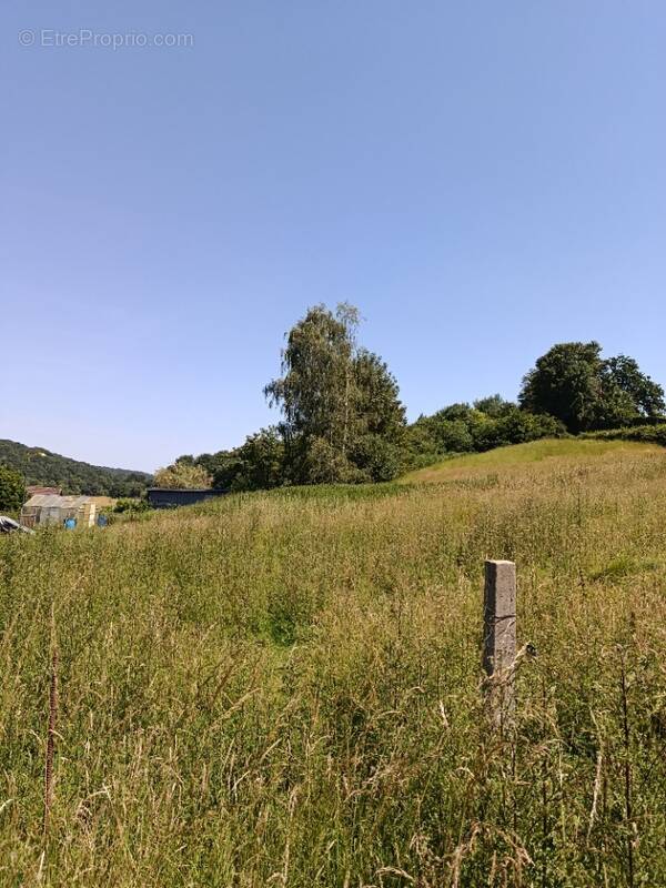 Terrain à BOIS-L'EVEQUE