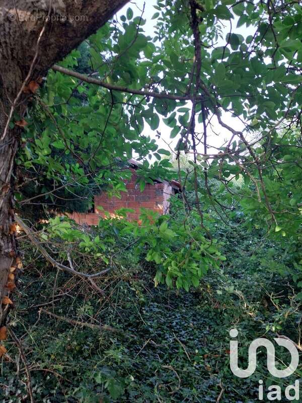 Photo 5 - Terrain à CAZES-MONDENARD