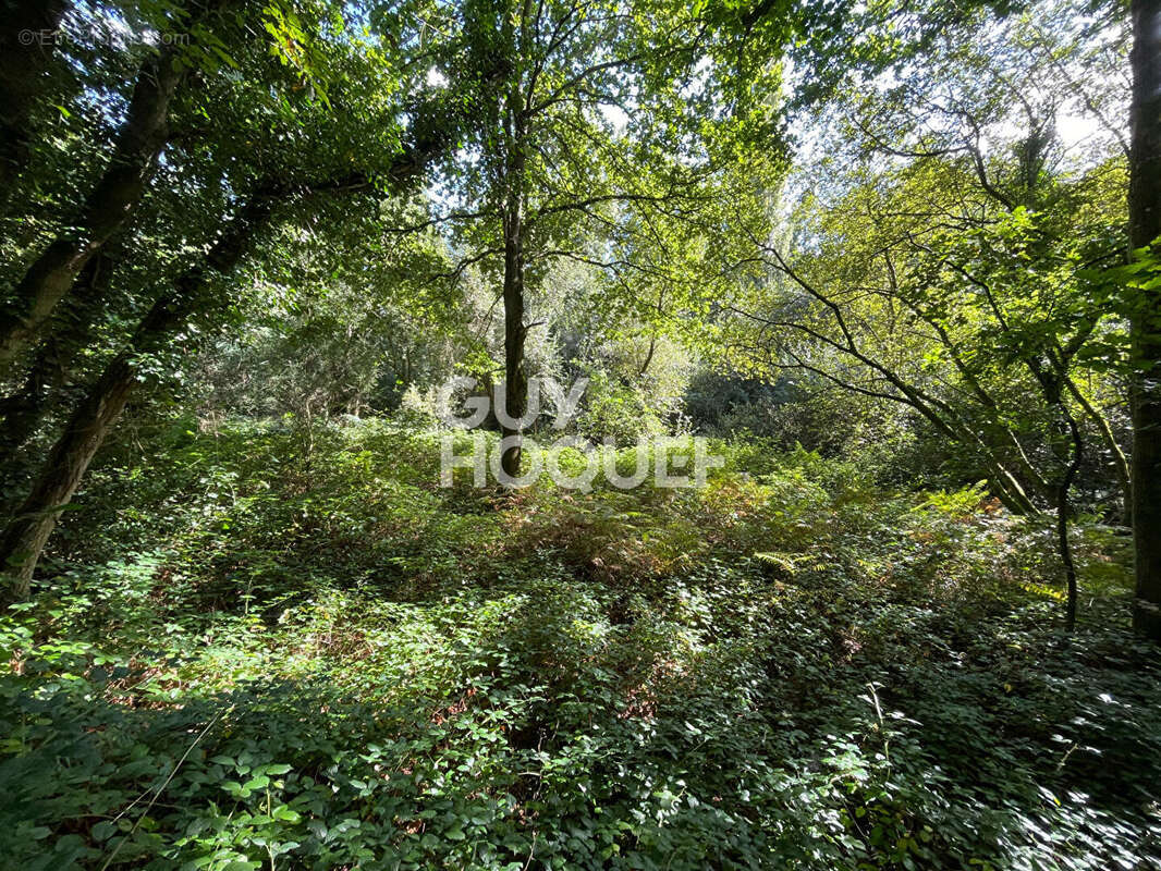 Terrain à BAGUER-PICAN