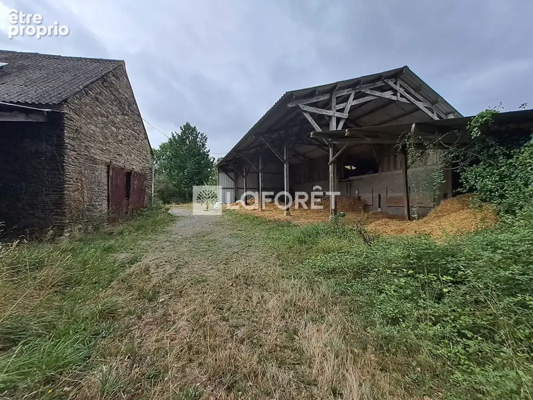 Maison Treal 4 pièce(s) 80 m2 - photo 3