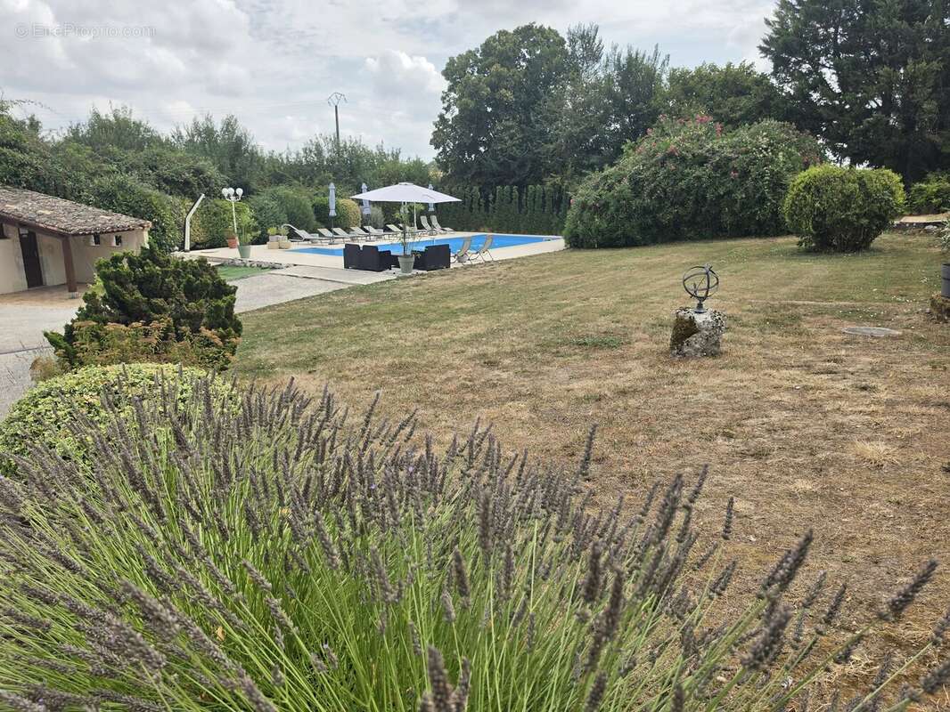 Propriété en pierre avec maison d'amis, piscine, dépendance et 1 hectare de terrain proche de Montaigu-de-Quercy (Tarn-et-Garonn - photo 15