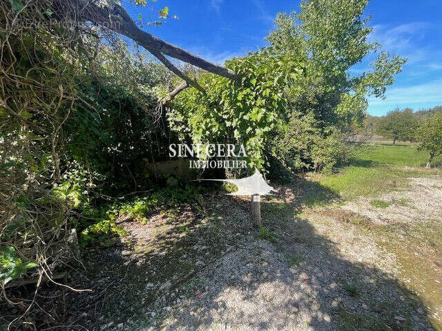 Maison à SAINT-MICHEL-DE-DOUBLE