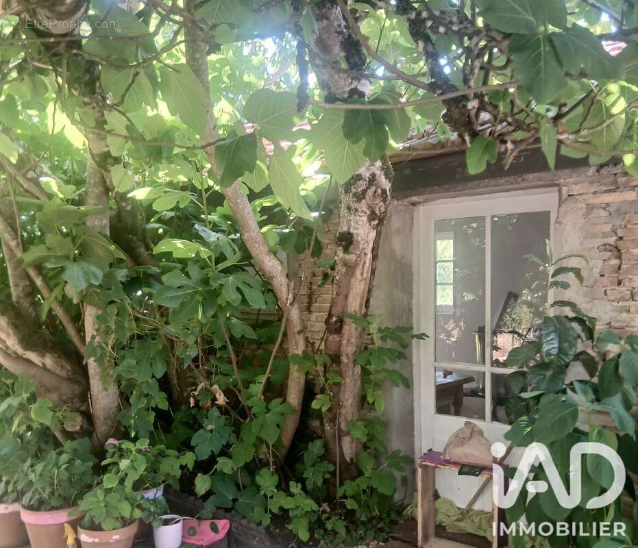 Maison 86 m² à Lisle-Sur-Tarn  - photo 4