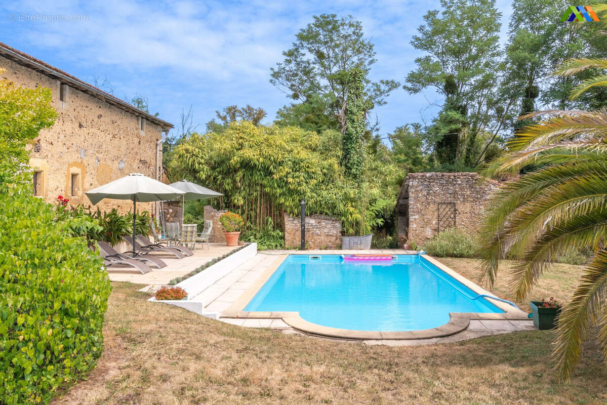 550 m² à Hagetmau  - photo 4