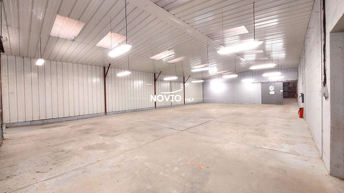 Commerce 1 300 m² à vendre à Lussac-Les-Chateaux (86320) - photo 4