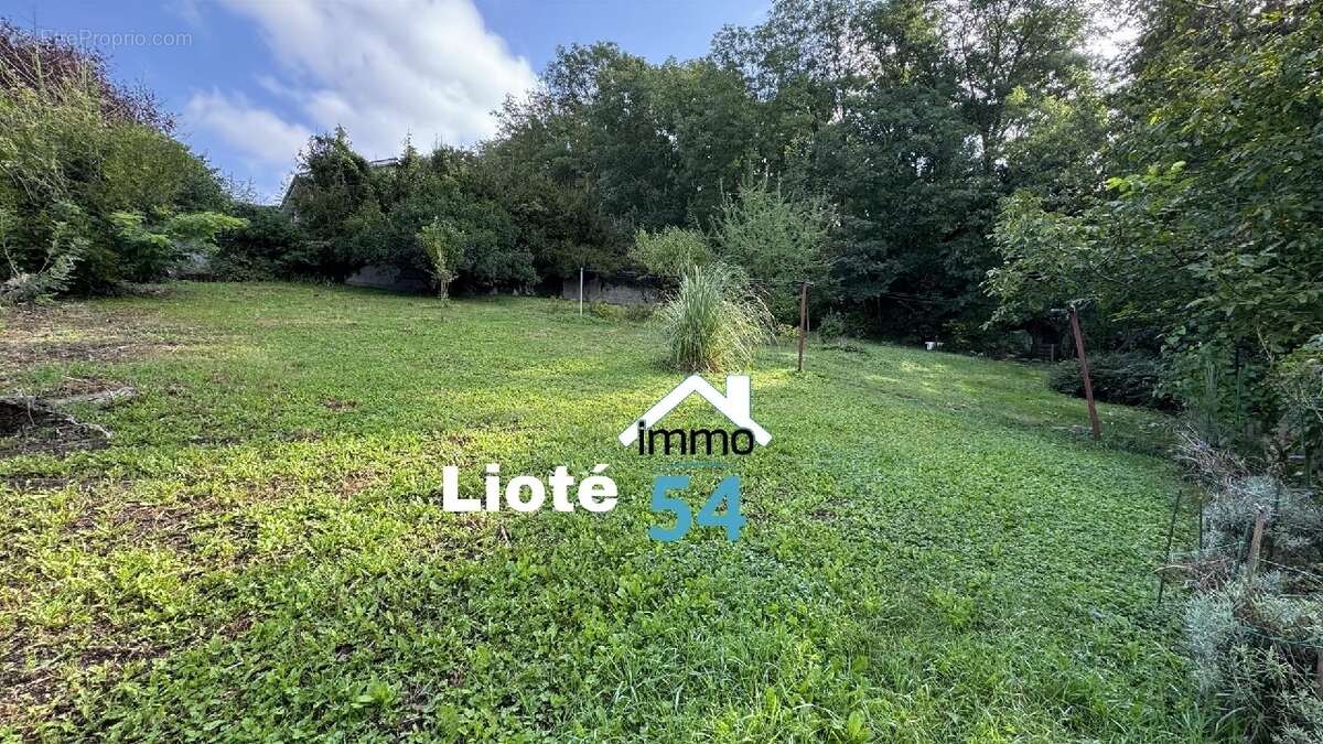 Terrain à VARANGEVILLE