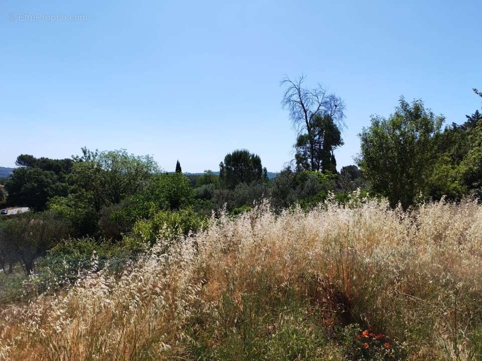Terrain 628 m² à Lorgues  - photo 1