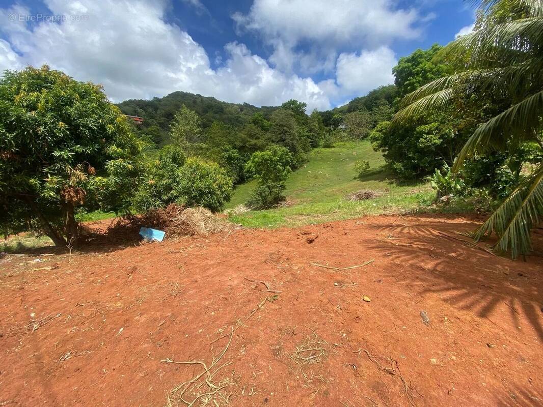 Terrain à LE VAUCLIN